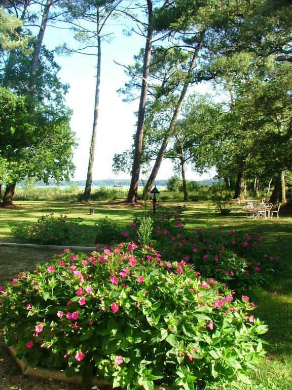 Villa De L'Etang Blanc Seignosse Esterno foto