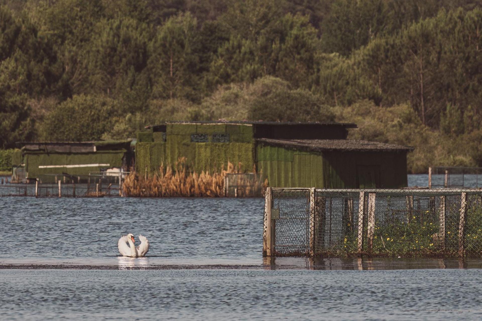 Villa De L'Etang Blanc Seignosse Esterno foto