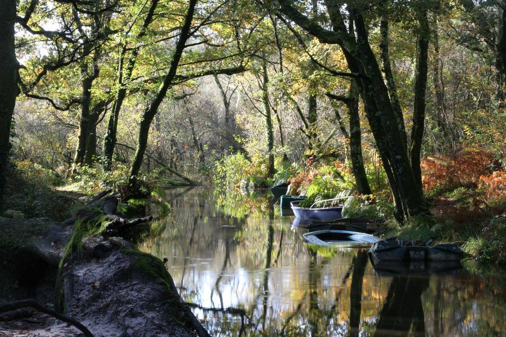 Villa De L'Etang Blanc Seignosse Esterno foto