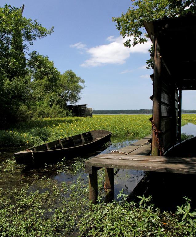 Villa De L'Etang Blanc Seignosse Esterno foto